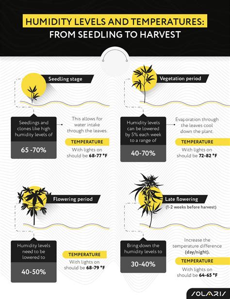 moisture level for cannabis on 3 way meter|marijuana root zone watering chart.